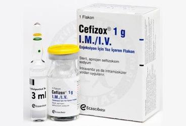 CEFIZOX 1 GR IM/IV ENJEKSIYONLUK COZELTI TOZU ICEREN FLAKON